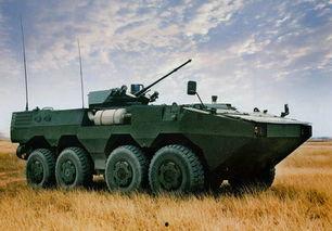 国产步兵区,探索中国现代步兵战术与装备发展之路