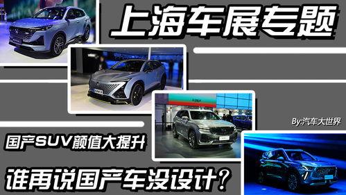 国产无