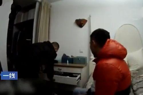 91秦先生国产,国产生态下的创新与突破